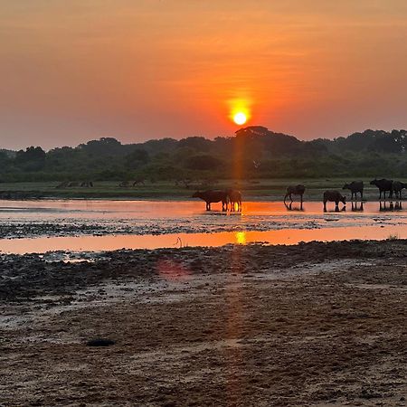 Kingfisher Beach Resort-Yala Kirinda  Esterno foto