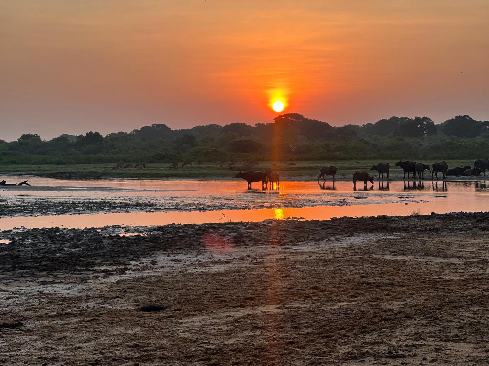 Kingfisher Beach Resort-Yala Kirinda  Esterno foto